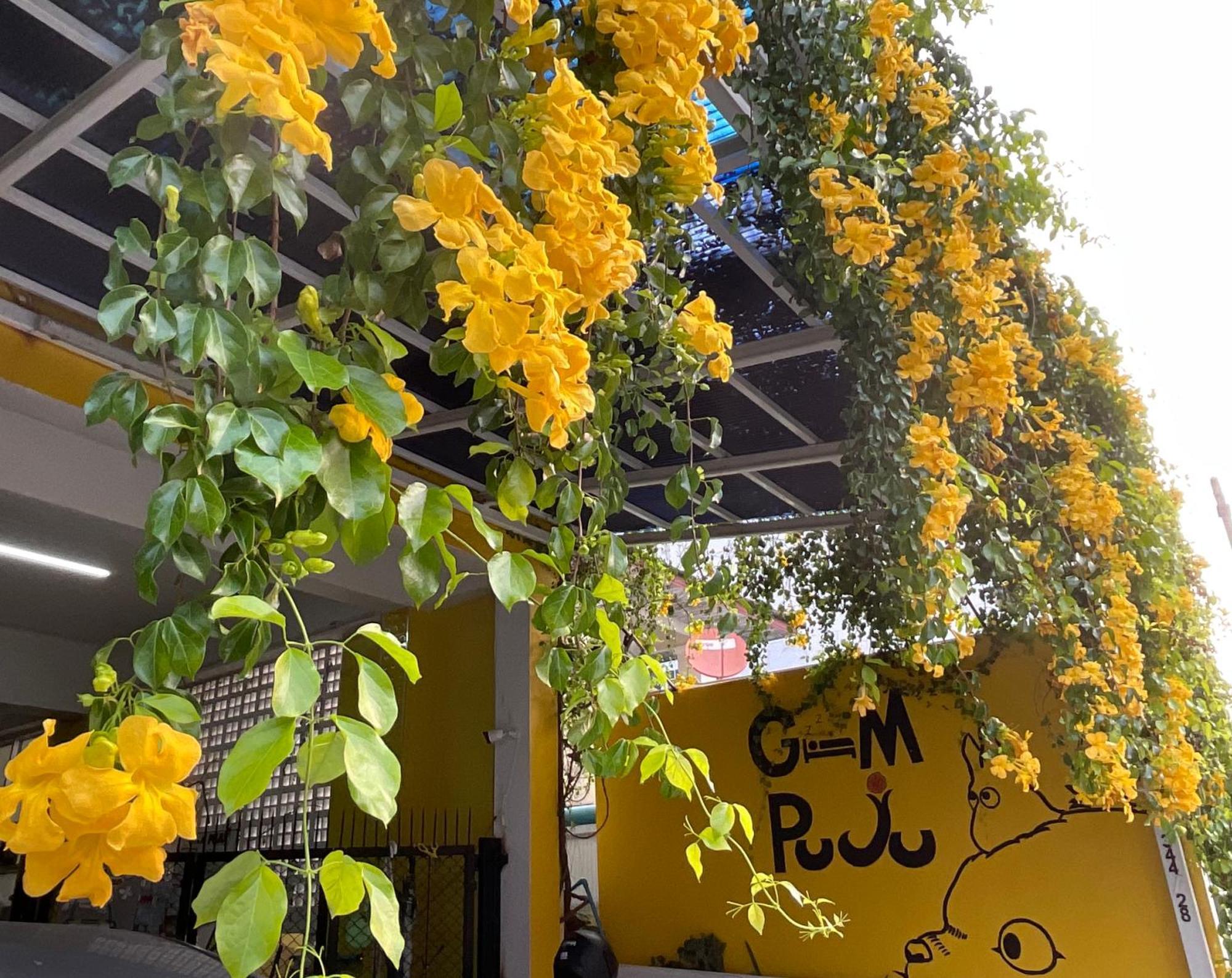Gasthuis Gumpuju คำปู้จู้ *
